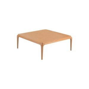 Raina sofa front table