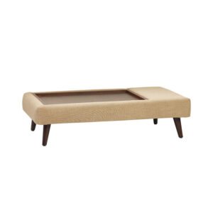 Lisa's coffee table with tray